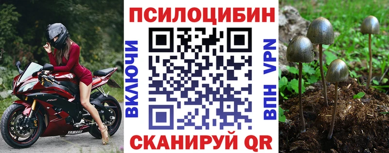Галлюциногенные грибы Psilocybine cubensis  darknet клад  Козловка  мега ссылки 